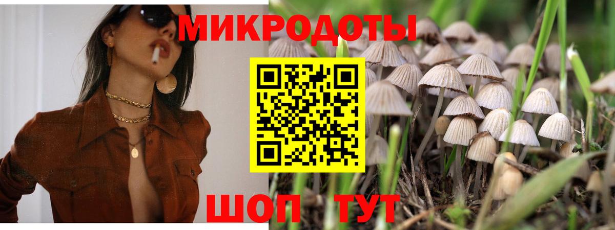 Губкинский  Галлюциногенные грибы GOLDEN TEACHER  Вход с VPN 